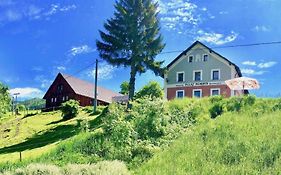 Penzion Dolní Morava